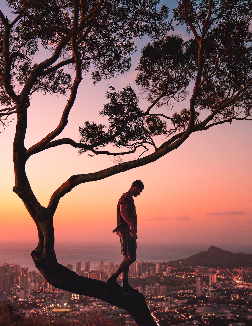 a photography of a man standing on a tree Vibes meaning in Marathi