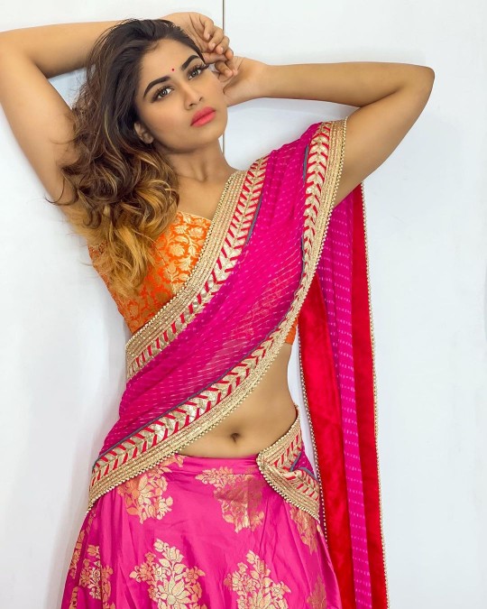 shivani narayanan hot shivani narayanan saree